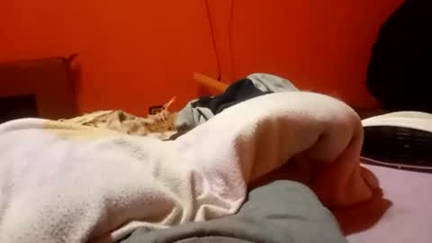 raulillo19842 online show from February 2026 12:28:01 AM