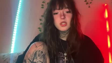 raven_armor online show from June 2026 04:24:02 PM