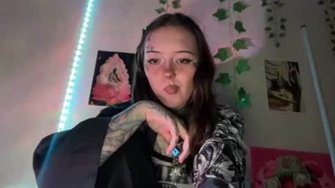 raven_armor online show from June 2026 05:58:02 PM