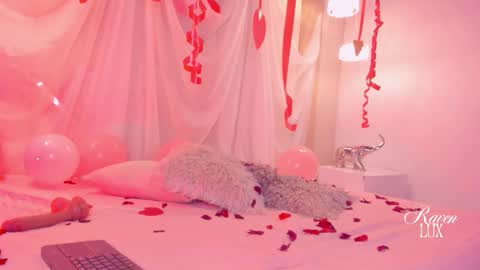 Snapshot of raven_luxx chatting on February 2026 07:51:01 AM RAVEN online show from February 2026 07:51:01 AM