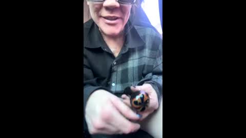 Snapshot of ravenrayyy chatting on February 2026 04:22:01 PM Raven Ray online show from February 2026 04:22:01 PM