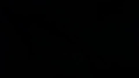 Ray  online show from January 2025 02:47:02 AM