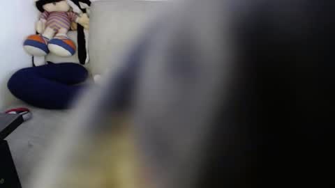 Ray  online show from November 2025 07:02:02 PM