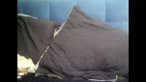 Snapshot of rayday_ chatting on March 2025 02:10:02 PM rayday_ online show from March 2025 02:10:02 PM