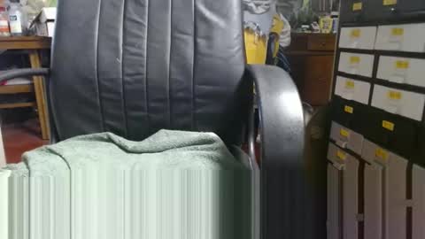 Snapshot of raysmith77777777 chatting on December 2024 06:46:02 PM Ray online show from December 2024 06:46:02 PM