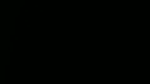 Snapshot of raysmith77777777 chatting on December 2024 03:57:01 PM Ray online show from December 2024 03:57:01 PM