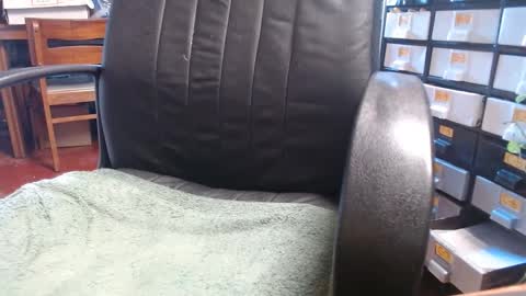 Snapshot of raysmith77777777 chatting on January 2025 03:03:01 PM Ray online show from January 2025 03:03:01 PM