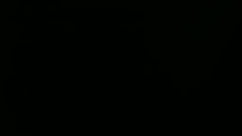 Snapshot of raysmith77777777 chatting on January 2025 09:20:01 PM Ray online show from January 2025 09:20:01 PM