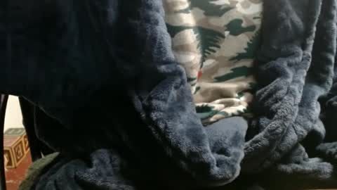 Snapshot of raysmith77777777 chatting on January 2025 12:34:02 AM Ray online show from January 2025 12:34:02 AM