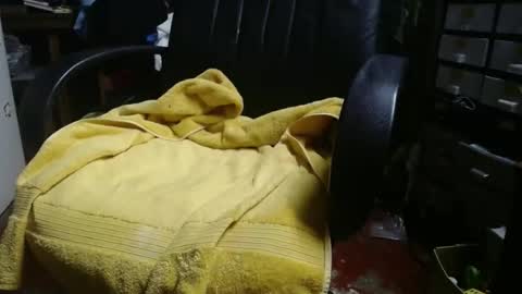 Snapshot of raysmith77777777 chatting on November 2025 12:27:02 PM Ray online show from November 2025 12:27:02 PM