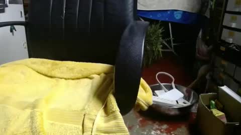 Snapshot of raysmith77777777 chatting on November 2025 01:07:02 AM Ray online show from November 2025 01:07:02 AM