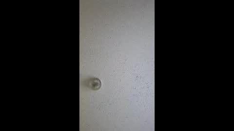 Snapshot of razalgirls chatting on March 2026 09:21:02 PM razalgirls online show from March 2026 09:21:02 PM