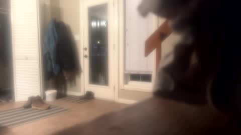 Snapshot of rdyforitall chatting on December 2024 06:22:02 AM Mr Nice online show from December 2024 06:22:02 AM