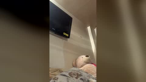 Snapshot of reallife1993 chatting on February 2026 01:59:02 AM reallife1993 online show from February 2026 01:59:02 AM