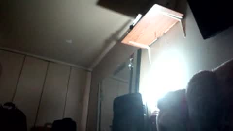 Snapshot of reallife1993 chatting on February 2026 05:14:01 AM reallife1993 online show from February 2026 05:14:01 AM