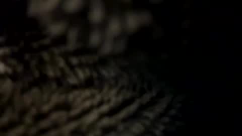 Snapshot of realmanz chatting on January 2025 06:09:02 PM realmanz online show from January 2025 06:09:02 PM