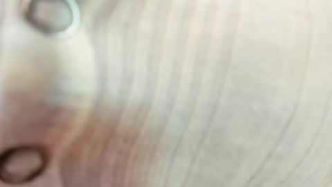 Maria  Realto online show from September 2025 12:54:01 AM