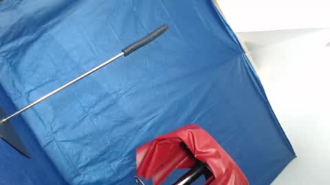 Rebeccalachaude online show from March 2025 07:48:01 AM