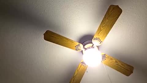 red24devils online show from October 2025 05:41:02 PM