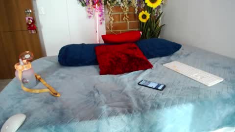 CATIA online show from January 2025 02:58:02 AM