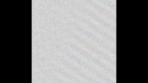 Kevin online show from December 2024 08:23:02 AM