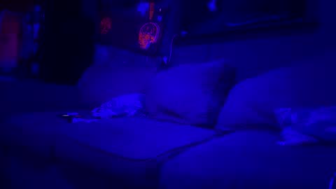 Lee online show from March 2026 01:54:01 AM