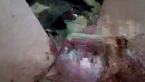 reggie007007 online show from June 2026 07:14:01 PM