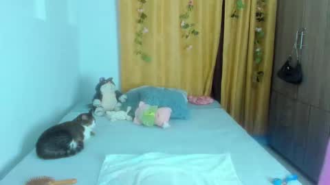 Snapshot of reislin69_2 chatting on September 2025 04:11:02 AM mariana online show from September 2025 04:11:02 AM