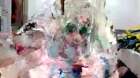 Snapshot of remshotdt chatting on December 2024 05:53:02 AM remshotdt online show from December 2024 05:53:02 AM