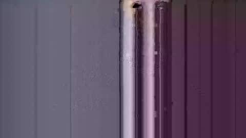 ReneIce online show from January 2026 07:06:02 PM