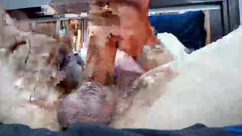 Rexwanker4everyone online show from March 2025 02:09:01 AM