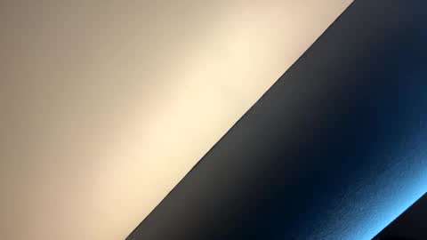 Snapshot of ricardoabrown318 chatting on November 2025 08:24:01 AM ricardoabrown318 online show from November 2025 08:24:01 AM