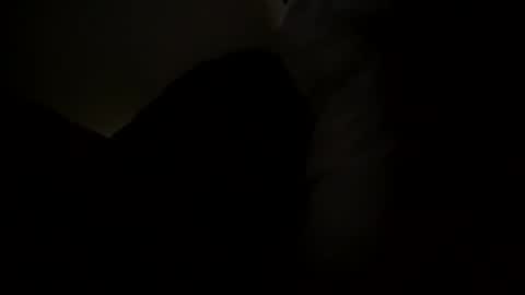 Snapshot of ricardoabrown318 chatting on November 2025 11:03:01 AM ricardoabrown318 online show from November 2025 11:03:01 AM