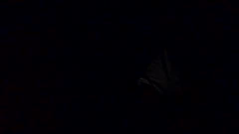 Babu online show from October 2025 03:27:02 AM