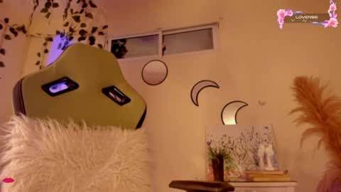 Independent model online show from December 2024 09:07:01 AM