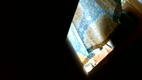 Snapshot of riskyjizznessss chatting on December 2024 04:46:02 PM riskyjizznessss online show from December 2024 04:46:02 PM