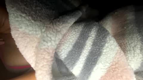 roarmance1 online show from November 2025 07:31:01 AM