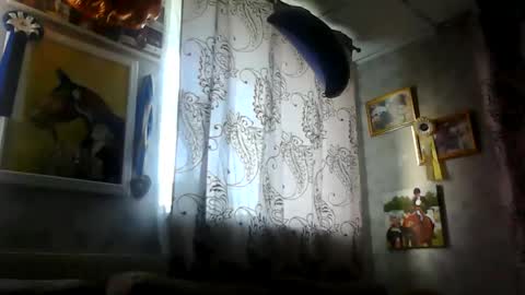 rob18997 online show from November 2025 10:54:02 AM