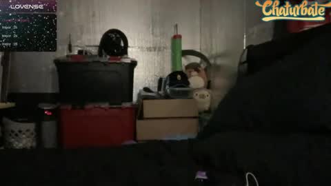 Robert Cici Jr. online show from December 2024 03:05:02 AM