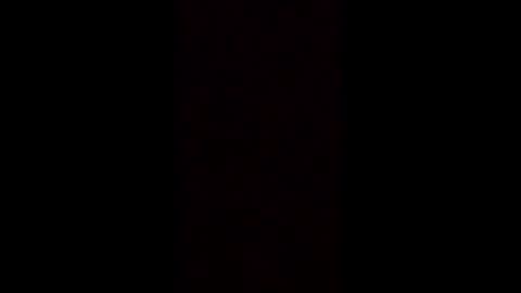 Snapshot of robertsaiz4200 chatting on March 2025 03:55:02 AM robertsaiz4200 online show from March 2025 03:55:02 AM