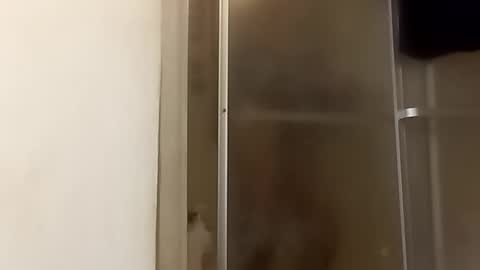 Snapshot of robertsaiz4200 chatting on November 2025 11:15:01 PM robertsaiz4200 online show from November 2025 11:15:01 PM