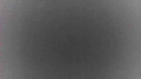 roberttocumcum online show from February 2026 09:11:02 PM