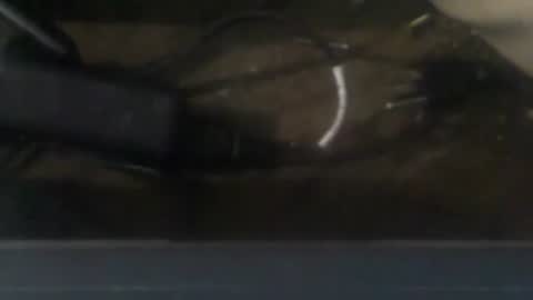 R online show from December 2024 03:36:02 AM