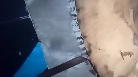 R online show from October 2025 05:59:01 AM