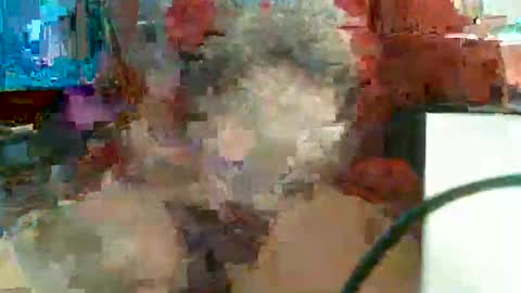 Rocco  aka DaddyRoc online show from February 2026 11:48:02 AM