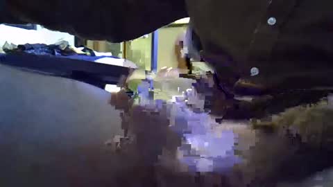 rocco981980 online show from January 2025 12:06:02 AM