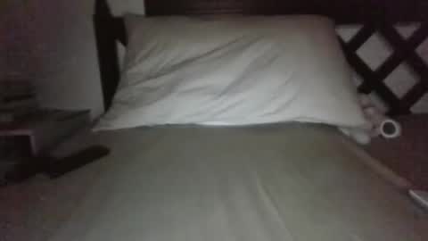 Snapshot of rockinger73 chatting on March 2026 08:01:02 PM Mick online show from March 2026 08:01:02 PM