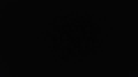 roctumx online show from November 2025 10:04:02 PM