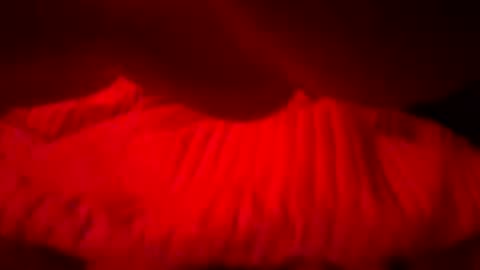roddy_mec online show from June 2026 12:19:01 PM