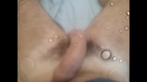 rollino83 online show from October 2025 09:46:02 PM